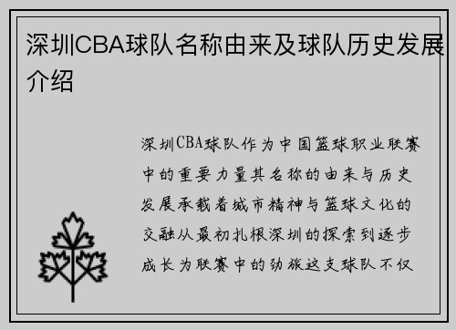 深圳CBA球队名称由来及球队历史发展介绍